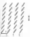 Fig. 06 - Microfluidic Cellular Device And Methods Of Use Thereof