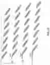 Fig. 07 - Microfluidic Cellular Device And Methods Of Use Thereof