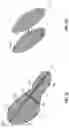 Fig. 08 - Microfluidic Cellular Device And Methods Of Use Thereof