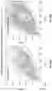 Fig. 40 - Microfluidic Cellular Device And Methods Of Use Thereof
