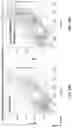 Fig. 49 - Microfluidic Cellular Device And Methods Of Use Thereof
