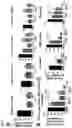Fig. 07 - BROMODOMAIN INHIBITORS