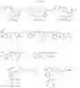 Fig. 08 - TARGETED PROTEIN DEGRADATION