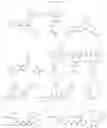 Fig. 205 - TARGETED PROTEIN DEGRADATION