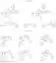 Fig. 25 - TARGETED PROTEIN DEGRADATION