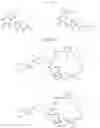 Fig. 271 - TARGETED PROTEIN DEGRADATION