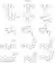 Fig. 296 - TARGETED PROTEIN DEGRADATION