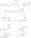 Fig. 337 - TARGETED PROTEIN DEGRADATION