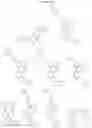 Fig. 378 - TARGETED PROTEIN DEGRADATION