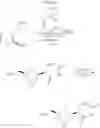 Fig. 552 - TARGETED PROTEIN DEGRADATION
