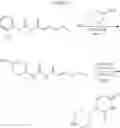 Fig. 558 - TARGETED PROTEIN DEGRADATION