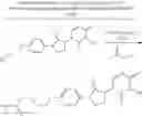Fig. 575 - TARGETED PROTEIN DEGRADATION