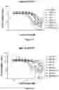 Fig. 05 - HCK DEGRADERS AND USES THEREOF