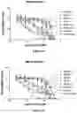 Fig. 08 - HCK DEGRADERS AND USES THEREOF
