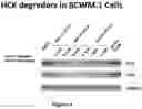 Fig. 10 - HCK DEGRADERS AND USES THEREOF