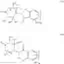 Fig. 154 - HCK DEGRADERS AND USES THEREOF