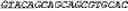Fig. 320 - ALLOGENEIC CELL COMPOSITIONS AND METHODS OF USE