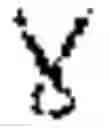 Fig. 02 - Non-LTR-retroelement reverse transcriptase and uses thereof