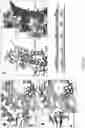 Fig. 06 - Non-LTR-retroelement reverse transcriptase and uses thereof