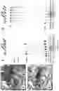Fig. 07 - Non-LTR-retroelement reverse transcriptase and uses thereof