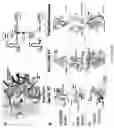 Fig. 08 - Non-LTR-retroelement reverse transcriptase and uses thereof