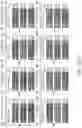 Fig. 331 - Crispr enzymes and systems