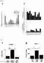Fig. 05 - BIOMARKER COMPOSITION FOR PREDICTING THERAPEUTIC EFFECT OF MESENCHYMAL STEM CELLS ON SYSTEMIC LUPUS ERYTHEMATOSUS