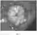 Fig. 02 - Optical fiber with low chlorine concentration improvements relating to loss and its use, method of its production and use thereof