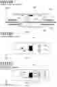 Fig. 17 - Recording medium determination device, image formation device, and recording medium determination method