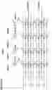 Fig. 28 - OUTPUT CIRCUIT FOR ANALOG NEURAL MEMORY IN A DEEP LEARNING ARTIFICIAL NEURAL NETWORK