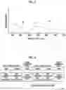 Fig. 04 - Endoscope system, medical image processing device, and operation method therefor