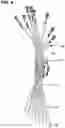 Fig. 09 - Sealed stranded grounding wire assembly