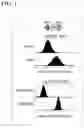 Fig. 02 - NONHUMAN ANIMAL AND USE FOR SAME