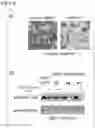 Fig. 05 - NONHUMAN ANIMAL AND USE FOR SAME