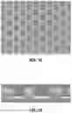 Fig. 10 - MESH AND USES THEREOF