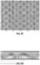 Fig. 12 - MESH AND USES THEREOF