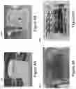 Fig. 09 - VASCULAR CASTING AND APPLICATIONS THEREOF