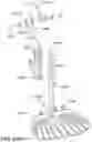 Fig. 474 - Mobility device