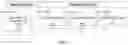 Fig. 08 - HMPV MRNA VACCINE COMPOSITION