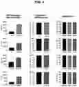 Fig. 04 - IONIZABLE LIPIDS FOR NUCLEIC ACID DELIVERY