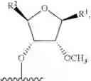 Fig. 49 - SHORT INTERFERING NUCLEIC ACID (siNA) MOLECULES AND USES THEREOF FOR CORONAVIRUS DISEASES