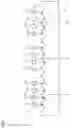 Fig. 07 - Optical fiber ribbon with intermittently coupled groups of fibers