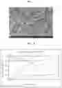 Fig. 03 - CATHODE ACTIVE MATERIAL FOR LITHIUM SECONDARY BATTERY, METHOD OF PREPARING THE SAME AND LITHIUM SECONDARY BATTERY INCLUDING THE SAME