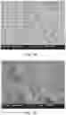 Fig. 12 - Passivated LLZO particles and tape casting of LLZO films