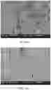 Fig. 15 - Passivated LLZO particles and tape casting of LLZO films