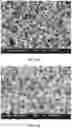 Fig. 23 - Passivated LLZO particles and tape casting of LLZO films