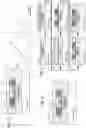 Fig. 03 - Enhanced conversion-gain image sensor
