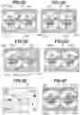 Fig. 06 - Electronic equipment, control method therefor, and storage medium
