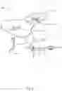 Fig. 06 - Bicycle Saddle and Bicycle Saddle Assembly