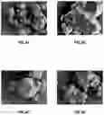 Fig. 05 - Intramolecular Pi-Stacking Structure Directing Agents and Molecular Sieves Synthesized Therefrom